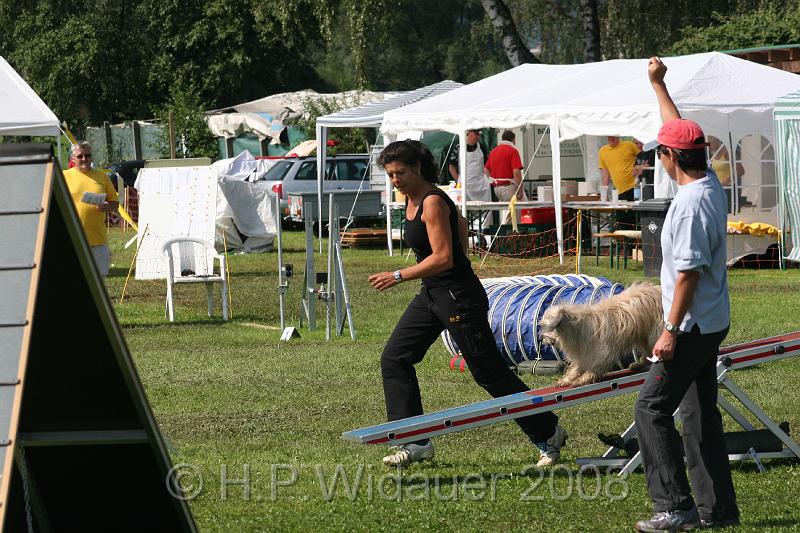 jubil.lusten. 223.jpg